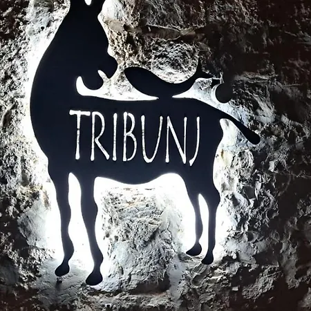 Jareb Appartamento Tribalj