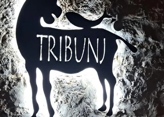 Jareb Apartman Tribunj (Sibenik-Knin)